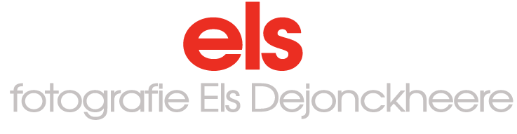 picsels logo